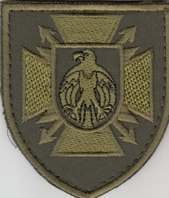 Шеврон Криворожский региональный пункт спецсвязи (птица)