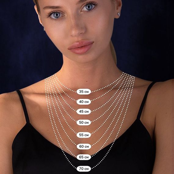 Срібний ланцюг Ролло | Зображення 4