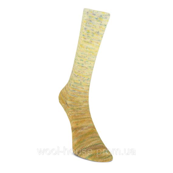 Шкарпеткова пряжа Laines du Nord Paint Gradient Sock, 17