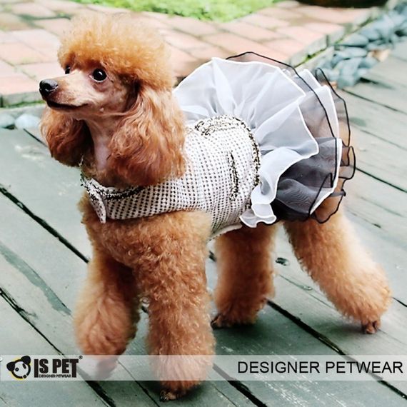 Платье утепленное для собак Is Pet "Elizabeth dress" черный | Зображення 1