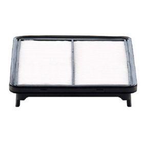 Воздушный фильтр для автомобиля Mann C29019