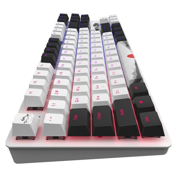 Клавіатура Dark Project One 87 Fuji ABS RGB Mech G3ms Sapphire USB Black/White (DPO87_GSH_Fuji_ANSI_UA) | Зображення 4