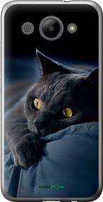 Чохол на Huawei Y3 2017 Димчастий кіт "825t-991-2448"