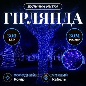 Гірлянда Нитка вулична 30 (м) 300 LED чорний провід Синій CF300L30MBBL
