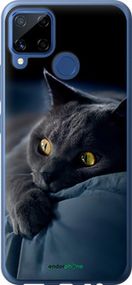 Чохол на Realme C15 Димчастий кіт "825u-2063-2448"