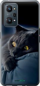 Чохол на Realme GT Neo 2 Димчастий кіт "825u-2489-2448"