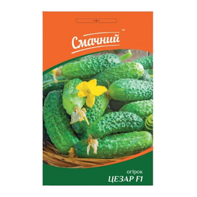 Огірок Цезар F1 0,5гр Смачний