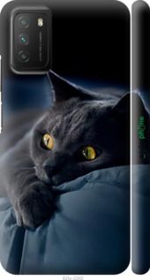 Чохол на Xiaomi Poco M3 Димчастий кіт "825m-2200-2448"