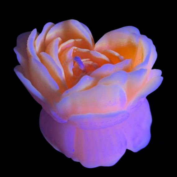 Cвiчка люмінісцентна низькотемпературна GlowKink помаранчева, М Sex Aura | Зображення 2