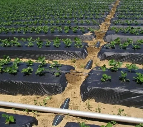 Плівка Мульча Shadow 30 мкм 1,2 м*10 м в  плівка поліетиленова для мульчування пакетована | Зображення 5