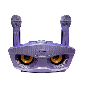 Портативна Бездротова Акустична Система з Двома Мікрофонами SDRD + Музична Bluetooth Караоке Станція SD306S
