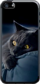 Чехол на iPhone 5 Дымчатый кот "825u-18-17620"