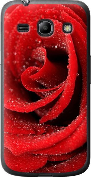 Чехол на Samsung Galaxy Star Advance G350E Красная роза "529u-210-17620"