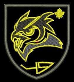 Шеврон 49 бригада (сова)