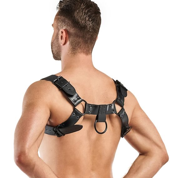 Портупея Bedroom Fantasies Bruno Chest Bulldog Harness Чорна One Size | Зображення 1