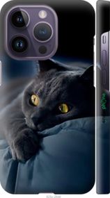Чохол на iPhone 14 Pro Димчастий кіт "825m-2646-2448"