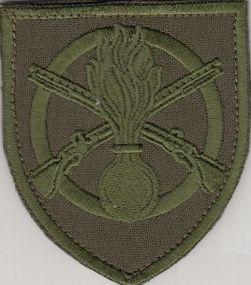 Шеврон 22 ОМПБ (зеленый)