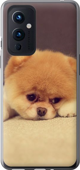Чехол на OnePlus 9 Boo 2 "890u-2249-17620"