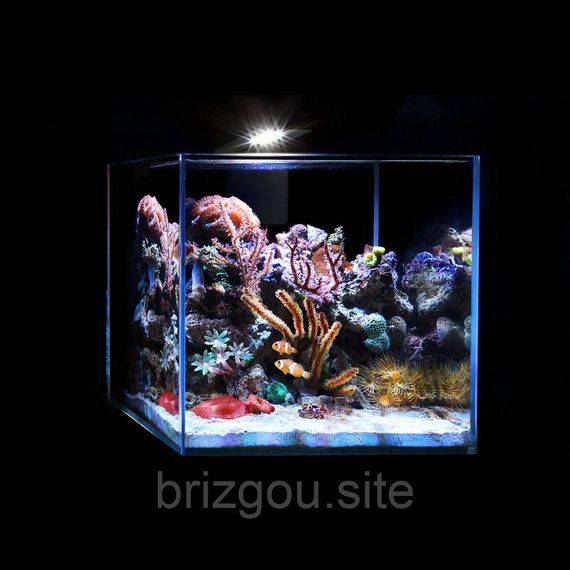 Світлодіодний світильник AquaLighter Nano Marine (для морського акваріуму до 20л) 12000К | Зображення 4