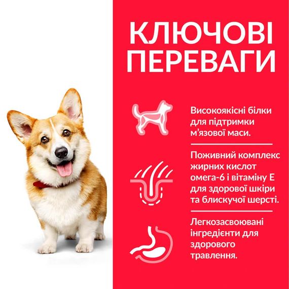 Сухой корм Hill's Science Plan для взрослых собак малых и миниатюрных пород с курицей 6 кг | Зображення 2