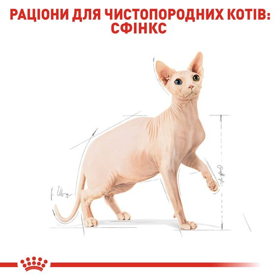 Royal Canin Sphynx сухой корм для котов породы сфинкс, 400 гр | Зображення 2
