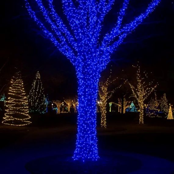 Гирлянда Рождественская фея уличная 100 (м) 1000 LED черный провод Синий CF1000L100MBBL | Зображення 1
