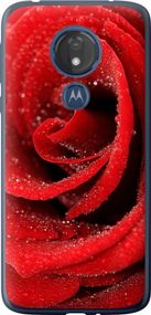 Чехол на Motorola Moto G7 Power Красная роза "529u-1657-17620"