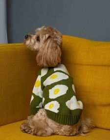 Светр в'язаний яєчня зелений Y-346