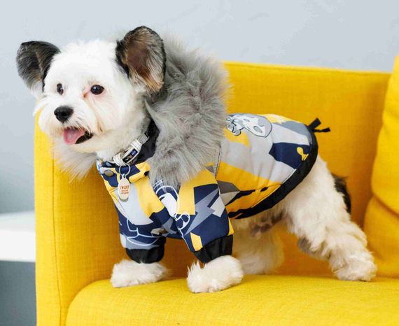 Комбінезон зі знімними штанами космос CO-34 | Зображення 1