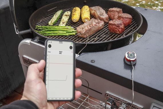 Термометр  Weber iGrill™ mini | Зображення 2