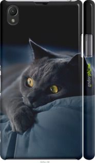 Чохол на Sony Xperia Z1 C6902 Димчастий кіт "825m-38-2448"