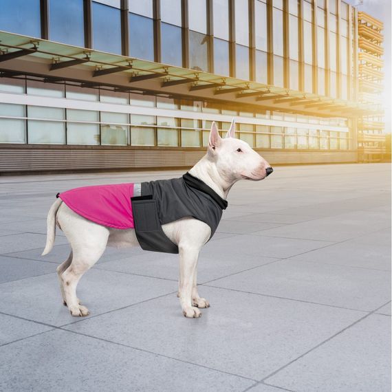Попона Pet Fashion Roy для собак малиновий/сірий 4XL | Зображення 6