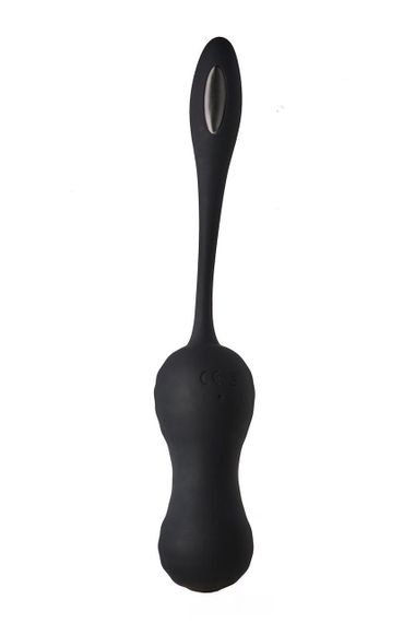 Віброяйце з пультом керування Dream Toys DARK DESIRES VIRGINIA | Зображення 3