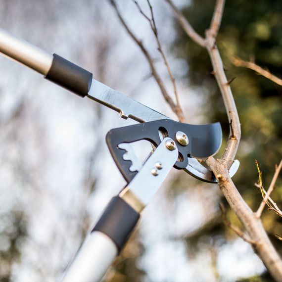 Сучкоріз контактний Cellfast IDEAL різ 45 мм 40-411 | Зображення 1