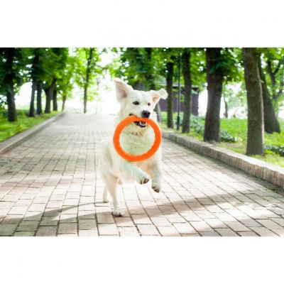 Игрушка для собак Collar PitchDog Кольцо для апортировки 28 см оранжевое (62384) | Зображення 3