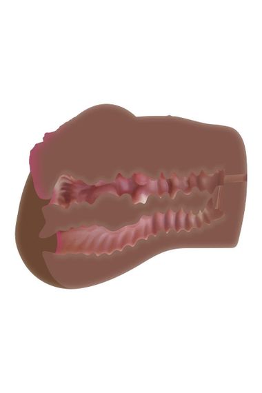 Мастурбатор анус і вагіна Zero Tolerance з ерекційним кільцем, коричневий sexstyle | Зображення 8