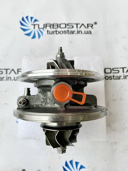 Картридж турбіни ШКОДА СуперБ, Skoda SUPERB TDI, ДВИЖОК (AVB), 1.9 D, 454231-0003,454231-0004, 454231-0001 | Зображення 1