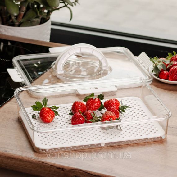 Контейнер для їжі з ручкою 31х24х7 см пластиковий харчовий контейнер 2.5 л HP-27-10 | Зображення 2