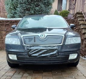 Зимняя накладка на решетку (нижняя) Глянцевая для Skoda Octavia II A5 2006-2010 гг