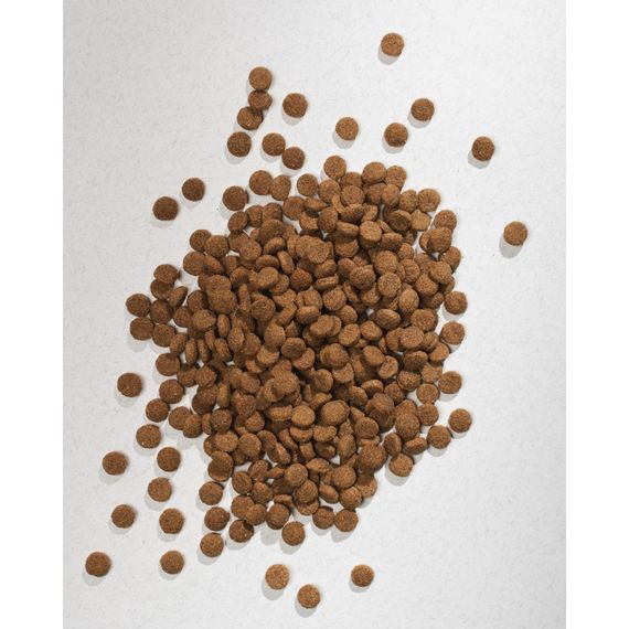 Корм сухий HalfHalf для цуценят усіх порід  із яловичиною 2 кг | Зображення 4