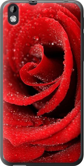 Чехол на HTC Desire 816 Красная роза "529u-169-17620"