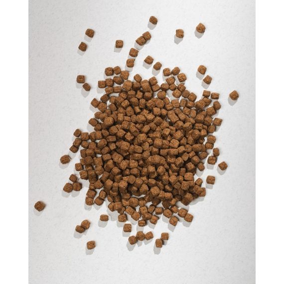 Корм сухий HalfHalf для котів із чутливим травленям з індичкою 8 кг | Зображення 4