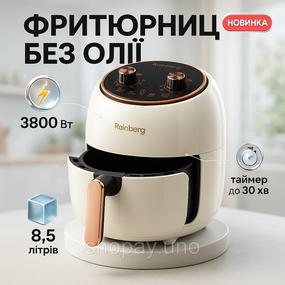 Електроплити без духовки Rainberg, Фритюрниця для картоплі фрі професійна, Мульти фритюрниця AE-34