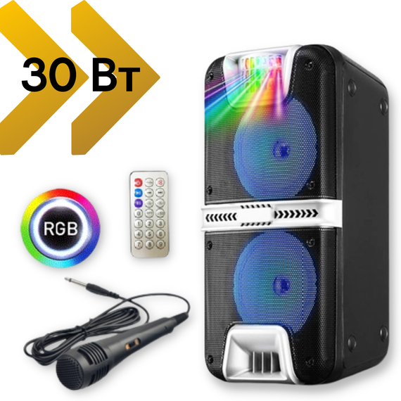 Акустичестична портативна система XPRO HS-TD0699 Bluetooth з караоке мікрофоном та пультом 30W(MER-15694) | Зображення 2