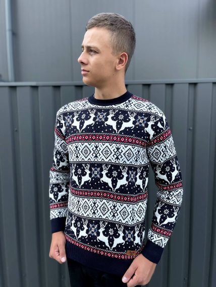 Мужской новогодний свитер с оленями низкий воротник PA2658 цвет синий, размер L | Зображення 1