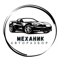 Авторозбірка "Механік" Нікополь