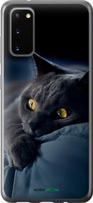 Чохол на Samsung Galaxy S20 Димчастий кіт "825u-1824-2448"