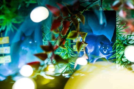 Настольная игра Живой Лес (Living Forest) | Зображення 2