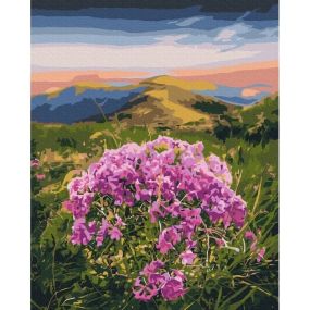 Картини за номерами "Квітнуть Карпати" 40x50 BS53750