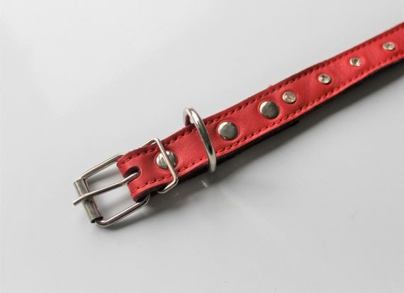Кожаный ошейник со стразами "Lockdog" красный | Зображення 2